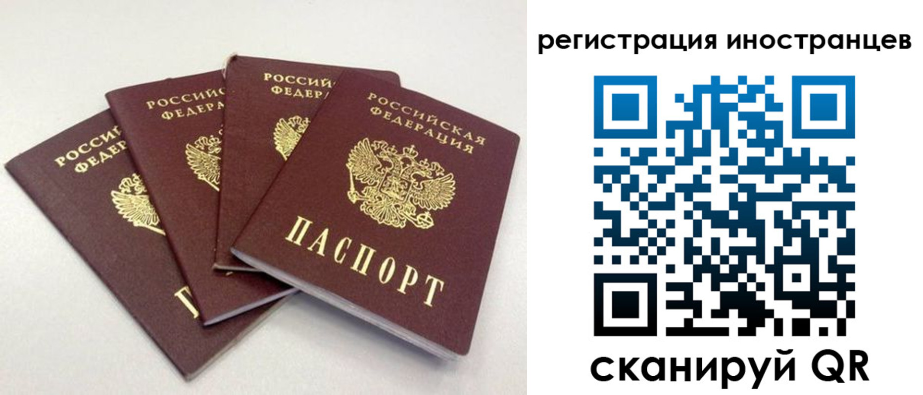 временная регистрация для школы в Ростовской области